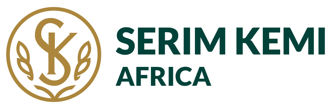 Kemi logo_Plan de travail 1 copie